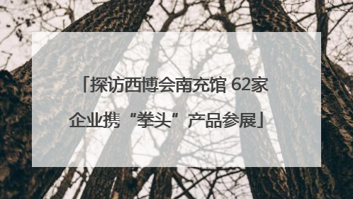 探访西博会南充馆 62家企业携“拳头”产品参展