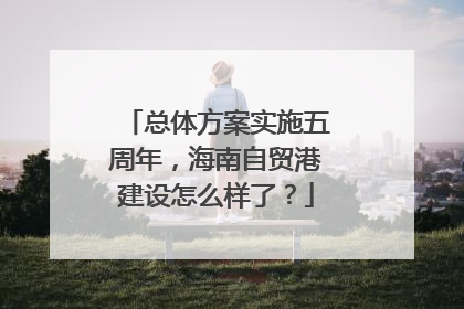 总体方案实施五周年，海南自贸港建设怎么样了？