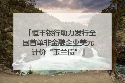 恒丰银行助力发行全国首单非金融企业美元计价“玉兰债”
