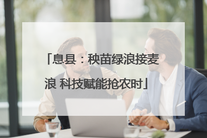 息县：秧苗绿浪接麦浪 科技赋能抢农时