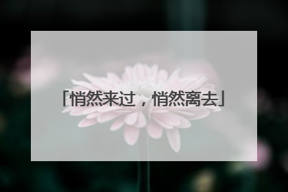 悄然来过，悄然离去