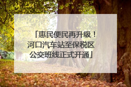 惠民便民再升级！河口汽车站至保税区公交班线正式开通