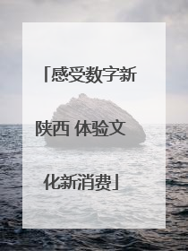 感受数字新陕西 体验文化新消费