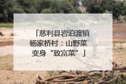 慈利县岩泊渡镇杨家桥村：山野菜变身“致富菜”