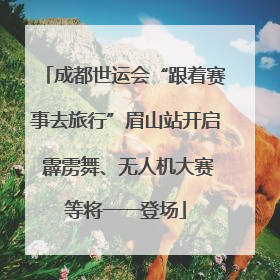 成都世运会“跟着赛事去旅行”眉山站开启 霹雳舞、无人机大赛等将一一登场