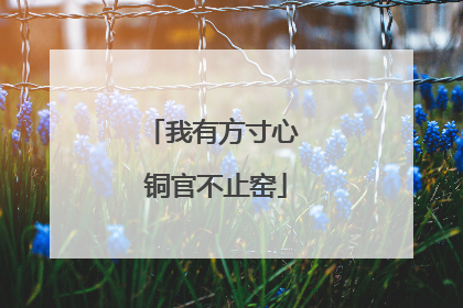 我有方寸心 铜官不止窑