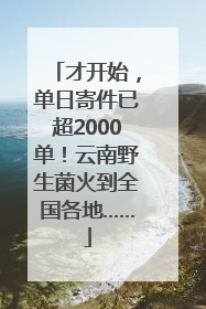 才开始，单日寄件已超2000单！云南野生菌火到全国各地……