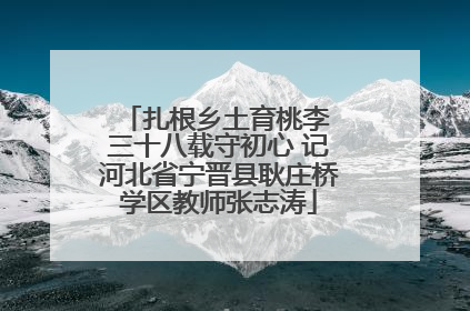 扎根乡土育桃李 三十八载守初心 记河北省宁晋县耿庄桥学区教师张志涛