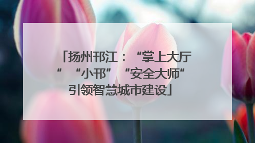 扬州邗江：“掌上大厅”“小邗”“安全大师”引领智慧城市建设