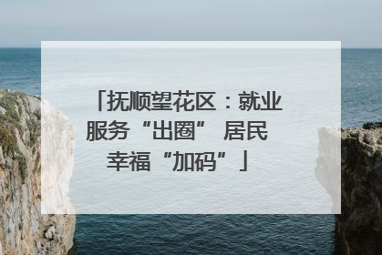 抚顺望花区：就业服务“出圈” 居民幸福“加码”