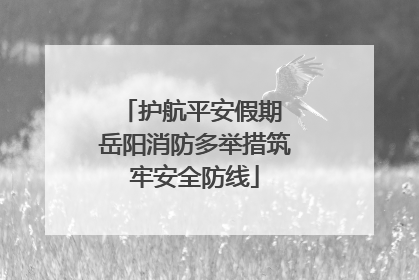 护航平安假期 岳阳消防多举措筑牢安全防线