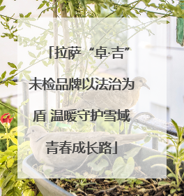 拉萨“卓·吉”未检品牌以法治为盾 温暖守护雪域青春成长路