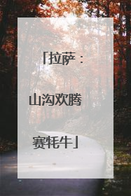 拉萨：山沟欢腾赛牦牛