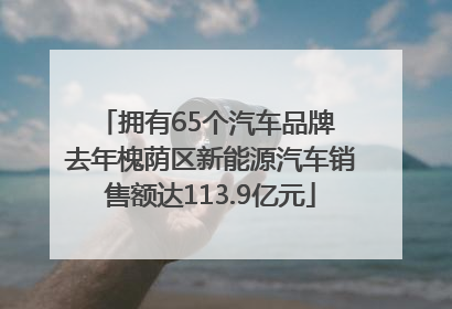 拥有65个汽车品牌 去年槐荫区新能源汽车销售额达113.9亿元