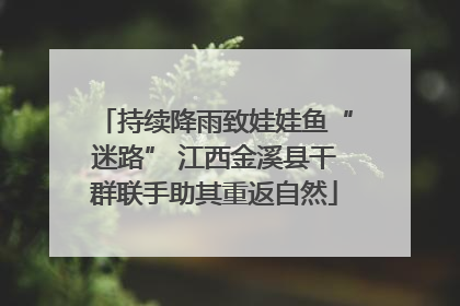 持续降雨致娃娃鱼“迷路” 江西金溪县干群联手助其重返自然