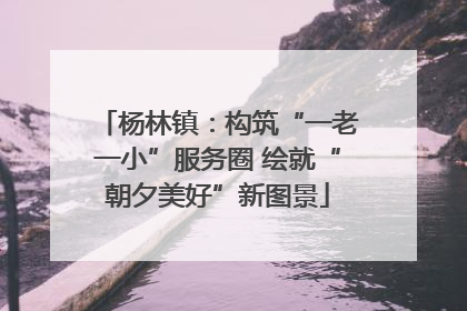 杨林镇：构筑“一老一小”服务圈 绘就“朝夕美好”新图景