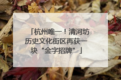 杭州唯一！清河坊历史文化街区再获一块“金字招牌”