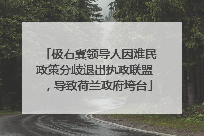 极右翼领导人因难民政策分歧退出执政联盟，导致荷兰政府垮台