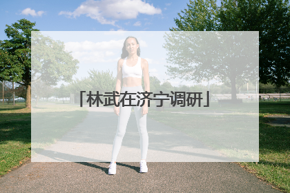 林武在济宁调研