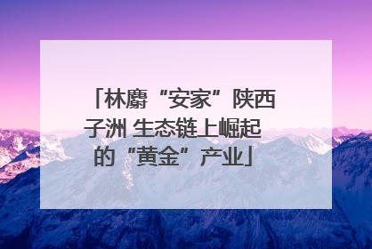 林麝“安家”陕西子洲 生态链上崛起的“黄金”产业