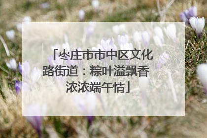 枣庄市市中区文化路街道：粽叶溢飘香 浓浓端午情