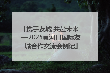携手友城 共赴未来——2025黄河口国际友城合作交流会侧记