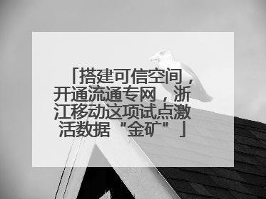 搭建可信空间，开通流通专网，浙江移动这项试点激活数据“金矿”