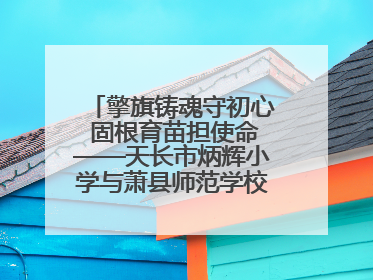 擎旗铸魂守初心 固根育苗担使命——天长市炳辉小学与萧县师范学校附属小学结对共建活动纪实