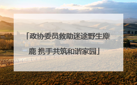政协委员救助迷途野生麋鹿 携手共筑和谐家园