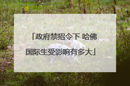 政府禁招令下 哈佛国际生受影响有多大
