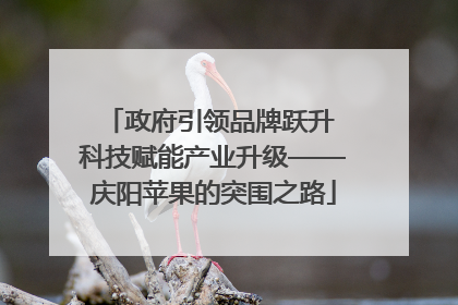 政府引领品牌跃升 科技赋能产业升级——庆阳苹果的突围之路