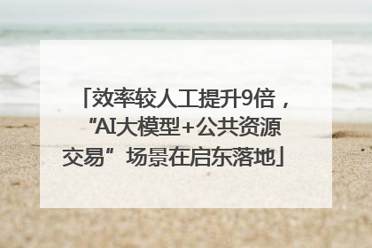 效率较人工提升9倍，“AI大模型+公共资源交易”场景在启东落地
