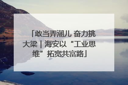 敢当弄潮儿 奋力挑大梁｜海安以“工业思维”拓宽共富路