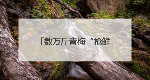 数万斤青梅“抢鲜”上市！成都大邑这个小镇靠青梅“酿出”亿元经济