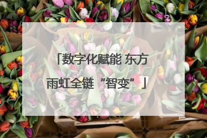 数字化赋能 东方雨虹全链“智变”