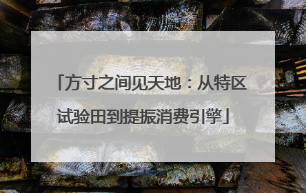 方寸之间见天地：从特区试验田到提振消费引擎