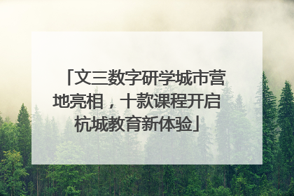 文三数字研学城市营地亮相，十款课程开启杭城教育新体验