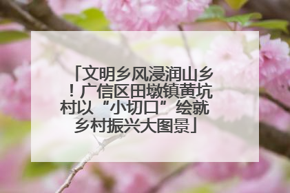 文明乡风浸润山乡！广信区田墩镇黄坑村以“小切口”绘就乡村振兴大图景