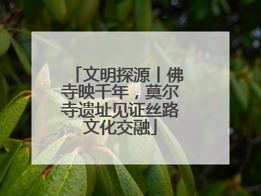 文明探源丨佛寺映千年，莫尔寺遗址见证丝路文化交融