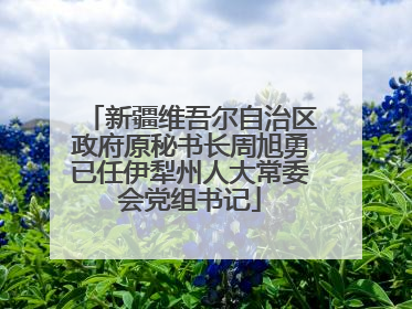 新疆维吾尔自治区政府原秘书长周旭勇已任伊犁州人大常委会党组书记