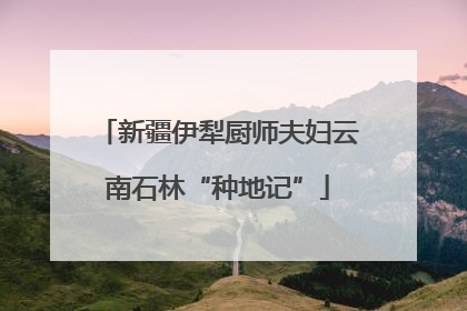 新疆伊犁厨师夫妇云南石林“种地记”