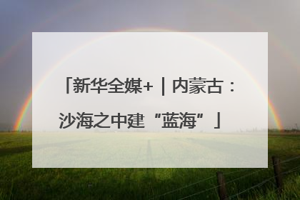 新华全媒+｜内蒙古：沙海之中建“蓝海”