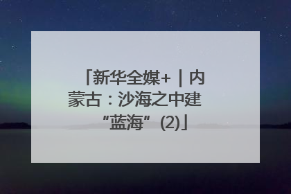新华全媒+｜内蒙古：沙海之中建“蓝海”(2)