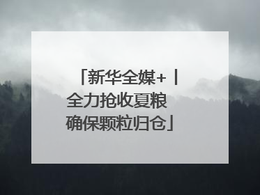 新华全媒+丨全力抢收夏粮 确保颗粒归仓