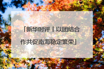 新华时评丨以团结合作共促南海稳定繁荣