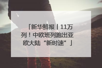 新华鲜报丨11万列！中欧班列跑出亚欧大陆“新时速”