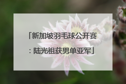新加坡羽毛球公开赛：陆光祖获男单亚军