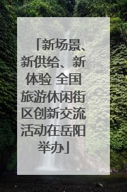 新场景、新供给、新体验 全国旅游休闲街区创新交流活动在岳阳举办