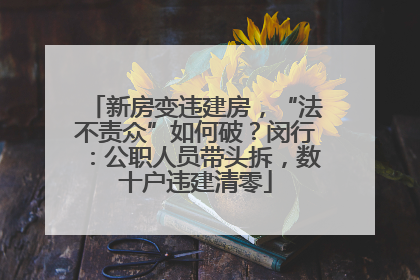 新房变违建房，“法不责众”如何破？闵行：公职人员带头拆，数十户违建清零