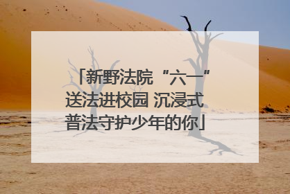 新野法院“六一”送法进校园 沉浸式普法守护少年的你